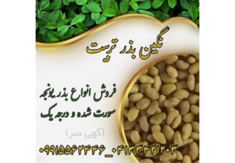 بذر یونجه درجه یک پایه بلند ، بذر یونجه سورت شده