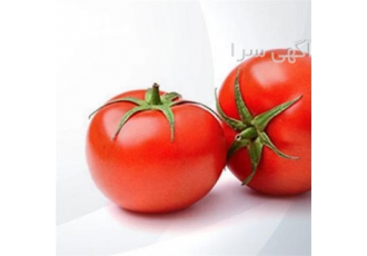 فروش بذر گوجه فرنگی SV۴۱۲۹TH ( پرفروش ) در بندرعباس بذر گوجه 4129