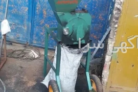 قیمت گردو با پوست دیجی کالا