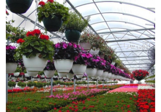 گرین وال و گل گیاه برای مراکز توریستی