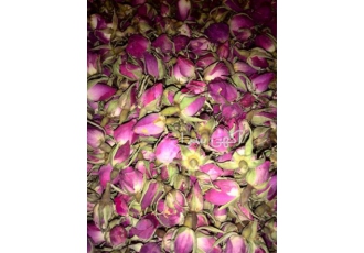 خرید و فروش گل محمدی و غنچه گل محمدی در شیراز فروش عمده و جزئی گل محمدی