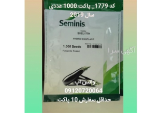 قیمت بذر بادمجان کد ۱۷۷۹ در کرج قیمت بذر بادمجان svel 1779 را در سایت