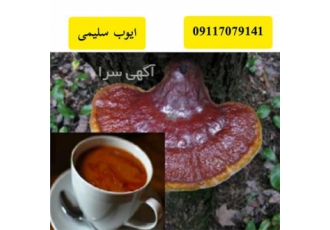 قهوه گانودرما ، کافه سوپریم ، کافه موکا