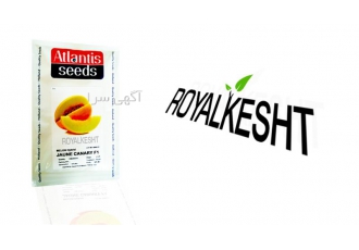 بذر خربزه جون کانری در تهران نام برند آتلانتیس سیدز Brand Atlantis