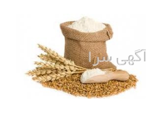 نشاسته پری ژلاتینه فروش نشاسته پری ژلاتینه نشاسته پری ژلاتینه نشاسته