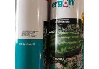 بذر هندوانه ارگون با کیفیت، بذر