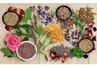 آموزش گیاهان دارویی مدرک فنی حرفه ای در مشهد آموزش گیاهان دارویی