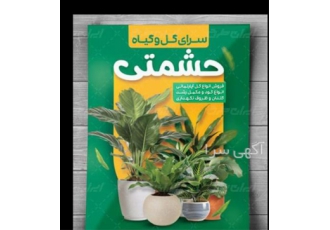Advertising leaflet printing   instant leaflet prin