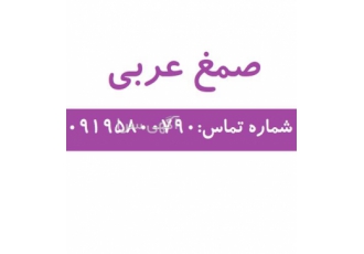 فروش صمغ عربی با امکان ارسال سراسری در تهران جهت خرید صمغ عربی با ما