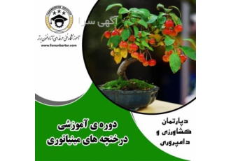 درخت های مینیاتوری