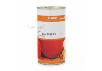 بذر گوجه فرنگی سانسید _ عرضه بذر