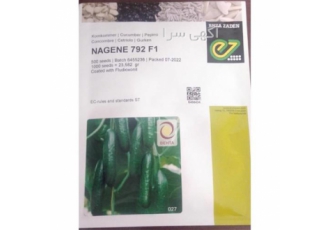 بذر خیار گلخانه ای ناگین انزازادن