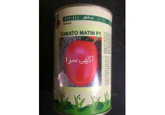 بذر گوجه فرنگی متین محصول دانمارک