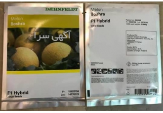 فروش بذر طالبی داکو رقم پربار در اهواز فروش بذر طالبی داکو رقم پربار
