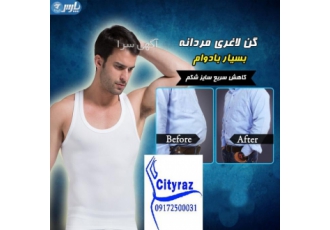 نمایندگی پخش عمده گن اصل شیراز