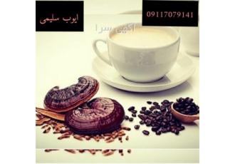نمایندگی قهوه و قارچ گانودرما ، فروش سوپریم