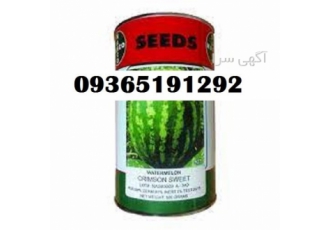 بذر هندوانه ناسکو قیمت مناسب و پر فروش در بوشهر فروش عمده بذر هندوانه