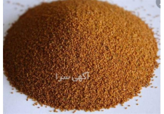 خرید و فروش خاکشیر در شیراز خرید خاکشیر از تولیدکنندگان با قیمت مناسب