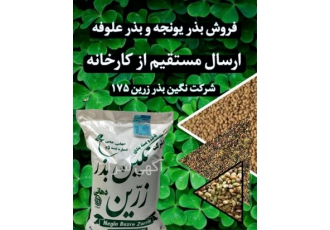 قیمت بذر یونجه پایه بلند