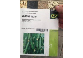 بذر خیار ناگین پر فروش و اصل