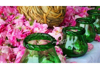 پخش عمده غنچه گل محمدی معطر