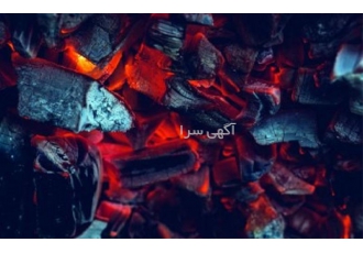 پخش عمده زغال کبابی
