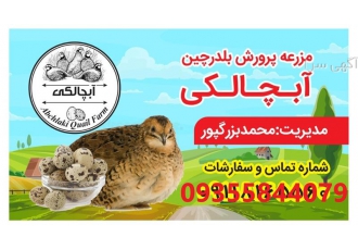چاپ لیبل شانه تخم مرغ چاپ لیبل لبنیات در تهران چاپ لیبل شانه تخم مرغ