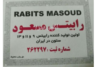 نماینده رابیتس مسعود و تولید رابیتس یونولیت | آهن دپو برای دریافت آخرین