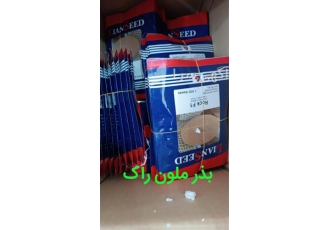 قیمت فروش بذر خربزه آناناسی راک ۲۰۲۲ در کرج قیمت بذر خربزه آناناسی