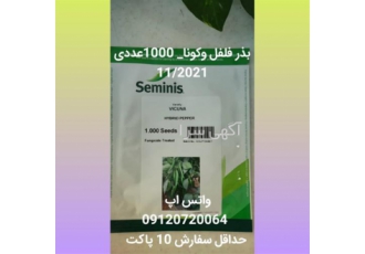 قیمت فروش بذر فلفل وکونا
