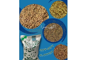 فروش بذر یونجه و بذر علوفه درجه ۱ در هریس با فروش بذر یونجه پایه بلند