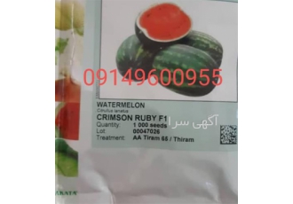 فروش بذر هندوانه / ساکاتا / کریمسون روبی در کرمان هندوانه ساکاتا