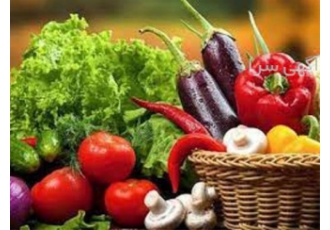 آموزش پرورش صیفیجات