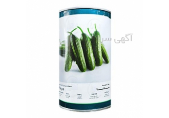 عرضه و فروش بذر خیار هیبرید مایا فلات در بندرعباس خصوصیات بذر خیار مایا