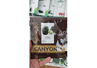 قیمت بذر کلم کانیون در کرج قیمت بذر کلم کانیون را در سایت کاشف بذر