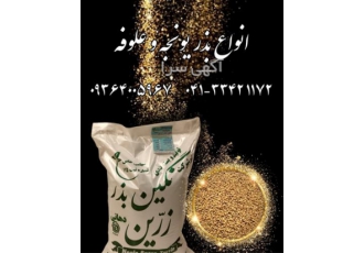 فروش بذر یونجه پایه بلند و اصیل بذر یونجه بغدادی در اهواز مجموعه نگینی