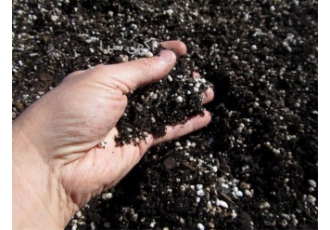 خاک بسته بندی گیاهان آپارتمانی عمده در تهران خاک بسته بندی گیاهان