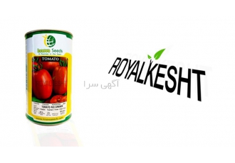بذر گوجه فرنگی ریوگرانده فروش بذر گوجه فرنگی در تهران فروش بذر گوجه
