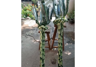 خرید بامبو ارزان