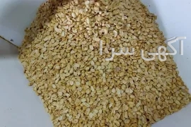 آگهی های بازار کار - مشهد
