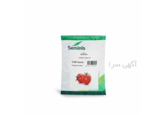 بذر گوجه فرنگی بدرو _با قیمت مناسب