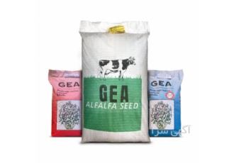 قیمت بذر یونجه گیا    خرید بذر یونجه ایتالیایی gea قیمت بذر یونجه گیا    خرید بذر یونجه ایتالیایی gea