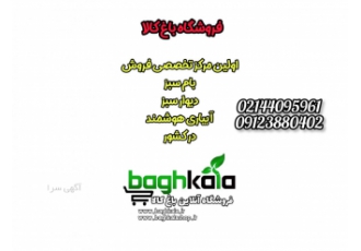 فروشگاه اینترنتی باغ کالا فروشگاه باغ کالا lrm اولین فروشگاه آنلاین