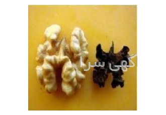 دفع کامل کرم خراط و رفع سیاه شدن مغز گردو دفع کامل کرم خراط و رفع سیاه