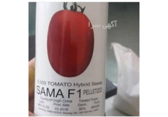 فروش بذر گوجه فرنگی سما / بذر گوجه فرنگی SAMA F1