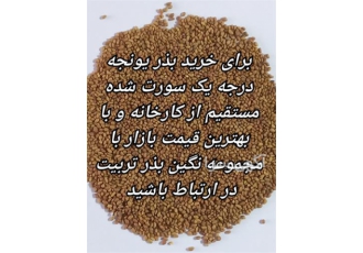 توزیع انواع ارقام بذر یونجه بذر شبدر در کامیاران فروش ارقام بذر یونجه