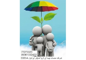 نمایندگی بیمه ایران ، کارشناسی و ارزیابی ریسک