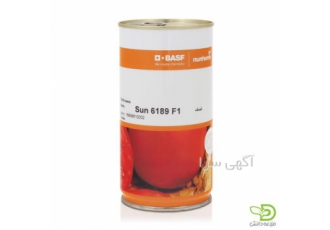 بذر گوجه فرنگی سانسید 6189 میان رس
