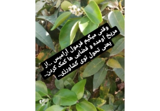کود سوپر نانو npk آلمان