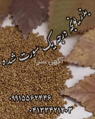 آگهی های بذر و نهال - بهارستان